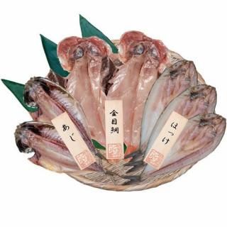 ڤ ̵ ľ۸α ʪ͹礻(V6020554T)