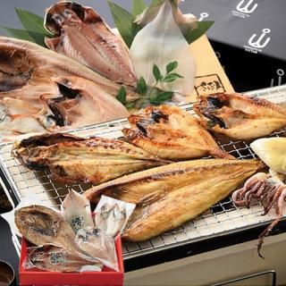 ڤ ̵ ľۻ建 Τɤ괳ʪå (V6020568T)