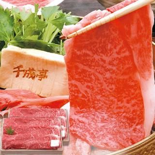 ڤ ̵ ľ ṾƤ ⡦Х(V6031578T)