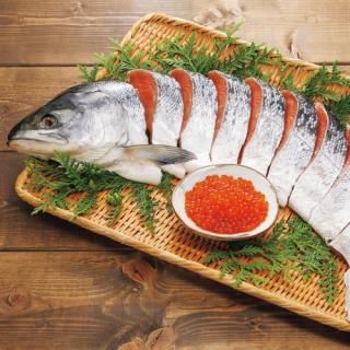 ڤ ̵ ľ̳ƻ ӿȤ(85006)