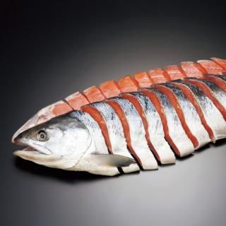 ڤ ̵ ľ̳ƻ ӿ ڤ(85007)