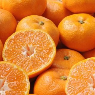 ڤ ̵ ľ²λ ͭĤߤ 2.5kg(85150)