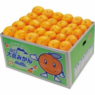 ڤ ̵ ľۻߤ (85156)