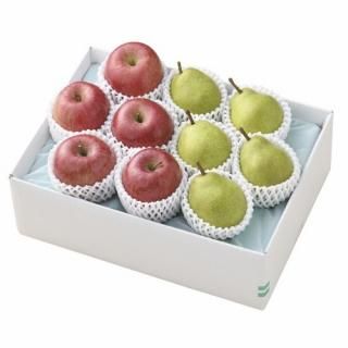 ڤ ̵ ľۥդȥ顦ե(85160)