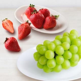 ڤ ̵ ľۥ㥤ޥåȤȤ(85165)