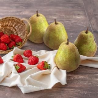 ڤ ̵ ľۥ顦ե󥹤Ȥ(85166)