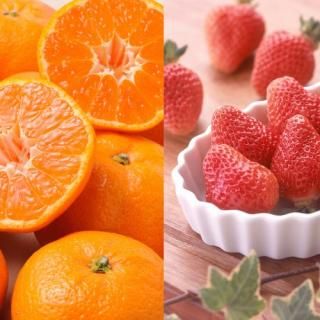 ڤ ̵ ľۤȤߤ(85167)