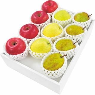 ڤ ̵ ľۥ顦ե󥹡դӥå(85172)