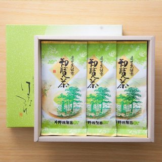 1000円〜3000円 新茶　知覧茶 煎茶100g×3本セット
