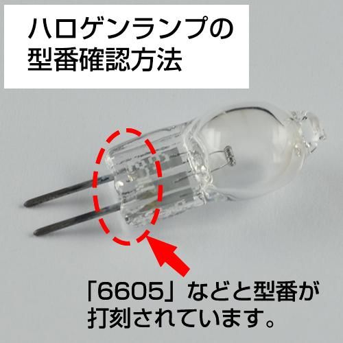 Amazon.co.jp: DN-39571 JC 12V30W/SP 12V 30 ワット G4 眼科用
