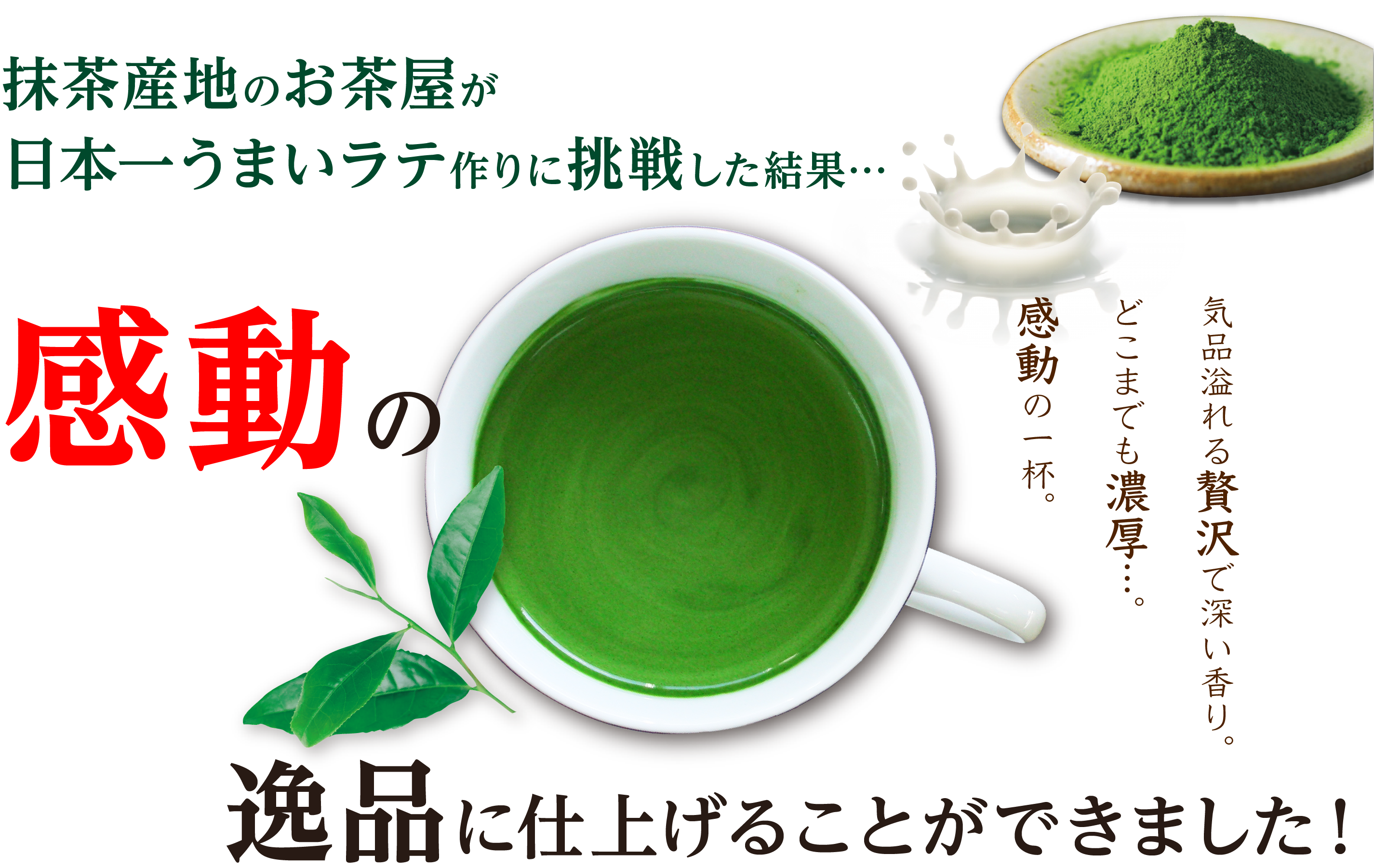 ܰݤƤŤĩ路̡Ĵưΰʤ˻ž夲뤳ȤǤޤ