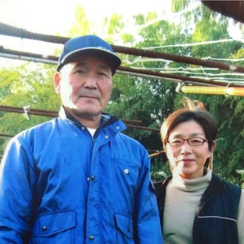 匠シリーズ 玉露名人茶 【信也：しんや】｜50g平袋 - 薮崎園