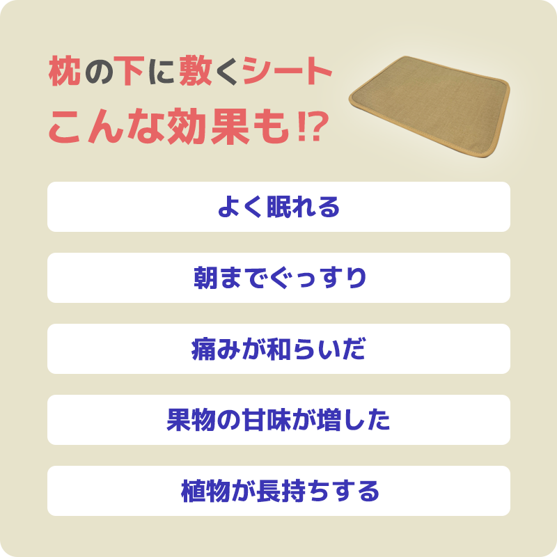 感動の声続々】 再入荷しました！ホッティーの枕の下に敷く