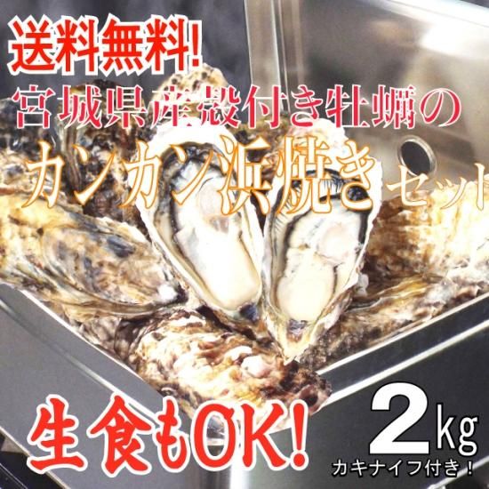生食用 送料無料 宮城県産殻付き牡蠣のカンカン浜焼きセット 2kg入 松かきnet 牡蠣の産地直送 生食用 送料無料 宮城県産殻付き牡蠣のカンカン浜焼きセット 2kg入 松かきnet 牡蠣の産地直送
