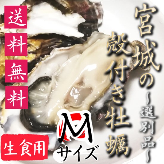 【生食用】【送料無料】宮城県産殻付き牡蠣 選別品Mサイズ20個【クール便！】