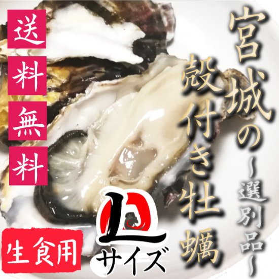 【生食用】【送料無料】宮城県産殻付き牡蠣 選別品Lサイズ20個【クール便！】