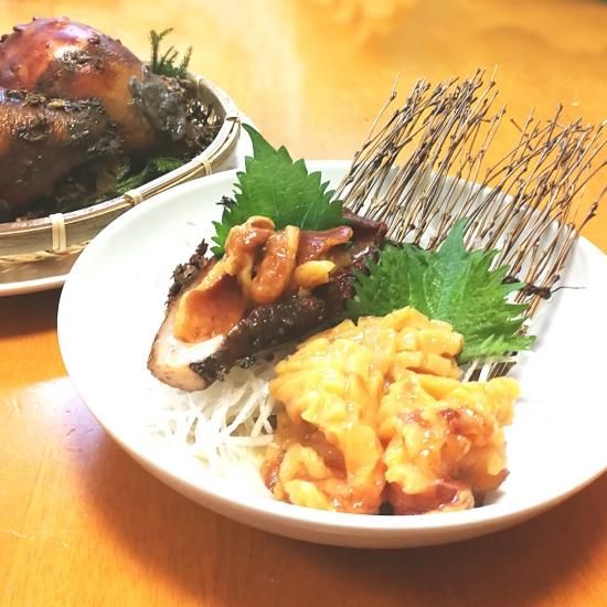 送料無料 宮城県産活ホヤ 5kg 殻付き ほや 旬期間限定 松かきnet 牡蠣の産地直送