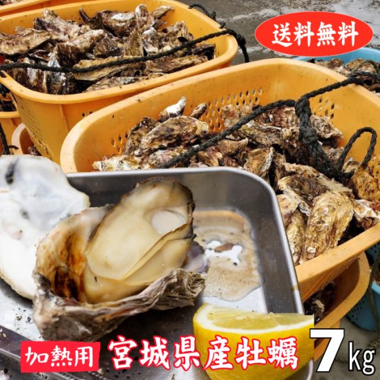 【生食用】【送料無料】宮城県産殻付き牡蠣 7kg【クール便！】