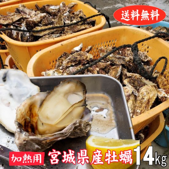 【生食用】【送料無料】宮城県産殻付き牡蠣 14kg【クール便！】