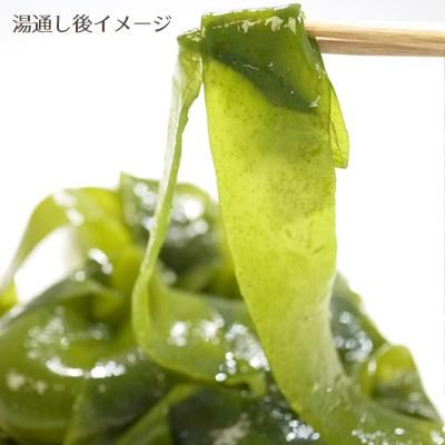 天然わかめ(湯通し塩蔵わかめ) 天然わかめ(湯通し塩蔵わかめ)