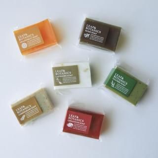 LEAF&BOTANICS ޥ
