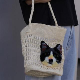  CAT IN DA HOUSECat faceХå ХХåȡڥϥ