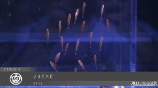 東熱ブルーライト15Ｗ(60hz) 紫外線殺菌灯 ブルーライト紫外線殺菌灯