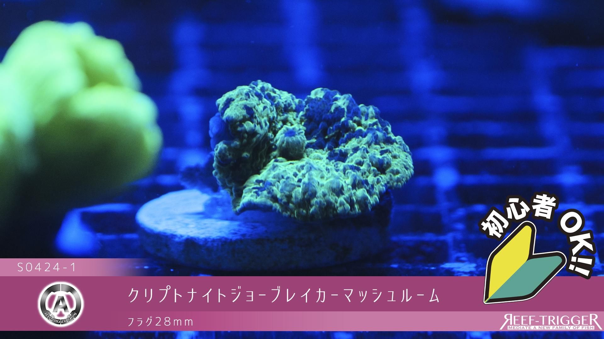 ラプンツェル コロナ王国 城 オーナメント ディズニー ラプンツェル コロナ王国 城 オーナメント ディズニー