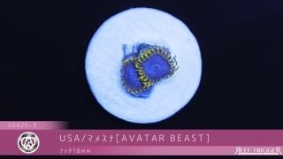 マメスナ　6種類セット マメスナ 6種類セット - メルカリ