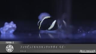 東熱ブルーライト15Ｗ(60hz) 紫外線殺菌灯 東熱 ブルーライト殺菌灯 【レヨンベールアクア】