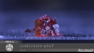 東熱ブルーライト15Ｗ(60hz) 紫外線殺菌灯 ブルーライト紫外線殺菌灯