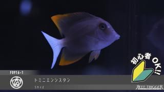 15W 東熱 ブルーライト紫外線殺菌灯(石英管あり)[当店稼働中
