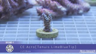 15W 東熱 ブルーライト紫外線殺菌灯(石英管あり)[当店稼働中