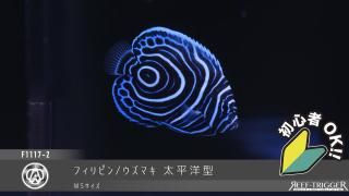 15W 東熱 ブルーライト紫外線殺菌灯(石英管あり)[当店稼働中] - REEF
