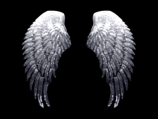 ɽա졼 ڥڥۡB1434