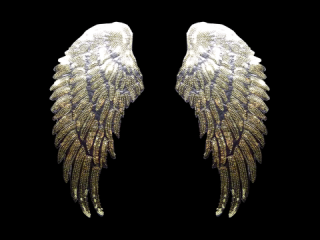 ɽա졼 ڥڥۡB1435