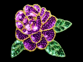  ѥ󥳡 Multicolor1530