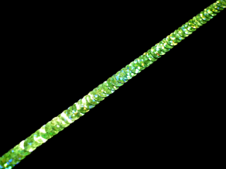  ȥå ѥ󥳡֥졼 1Row Lime HG1160