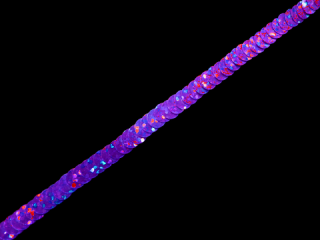  ȥå ѥ󥳡֥졼 1Row Purple HG1157