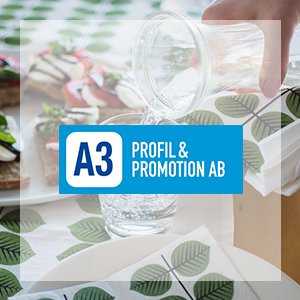 A3プロフィール / A3 Profil