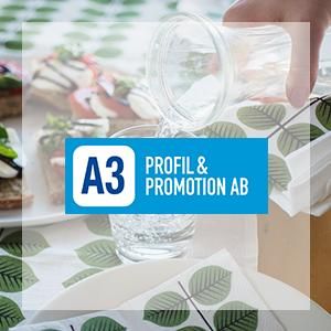 A3ץե / A3 Profil