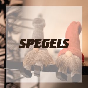スペーゲル / Spegels