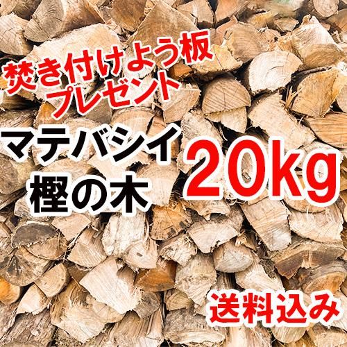 えのきチップス4種類