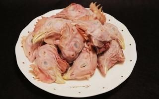 犬 猫 手作りフード おやつ 肉 魚 犬 猫 手作りフード おやつ 肉 魚