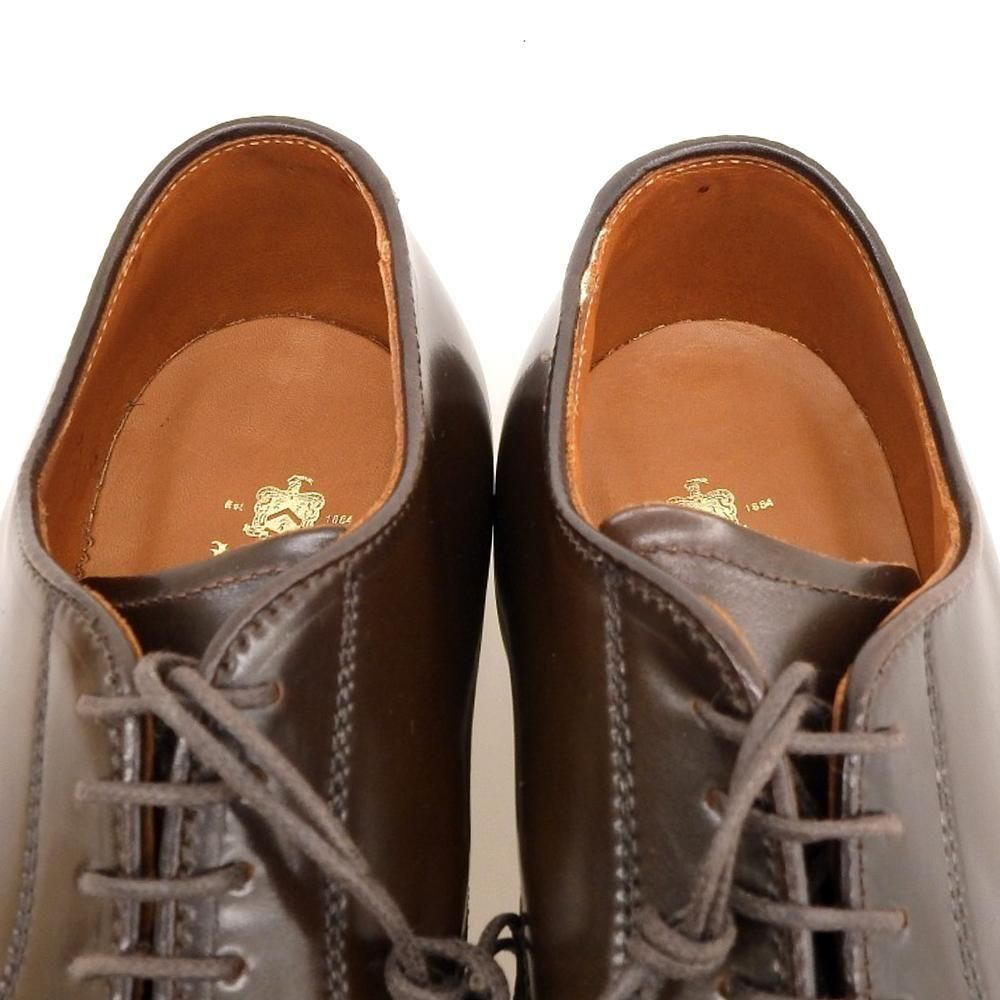 【希少⭐︎新品】US8D Alden シガー Vチップ オールデン レア オールデン 54425 Vチップ シガーコードバン レアカラー
