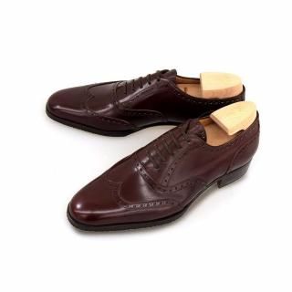 ҥǥե SCOTTISH FOLD ե֥ 󥰥å Сǥ  TOMORROWLAND(ȥ) 40