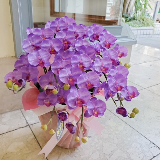 光触媒加工 胡蝶蘭 紫（パープル系) Ｓサイズ5本立ち 陶器鉢植え 花