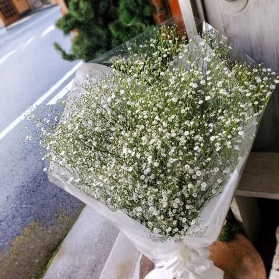 かすみ草の花束mサイズ 姫路市 花屋 飯塚生花店 Iihana総合ネット注文サイト 胡蝶蘭 スタンド花 花ギフト 御祝いアレンジ 花束 プリザ ドライフラワー ブライダル お供え花