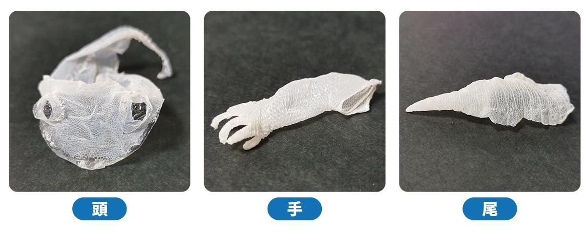 トゥルーシェッド ナノ / True Shed nano - 脱皮不全解消 爬虫類