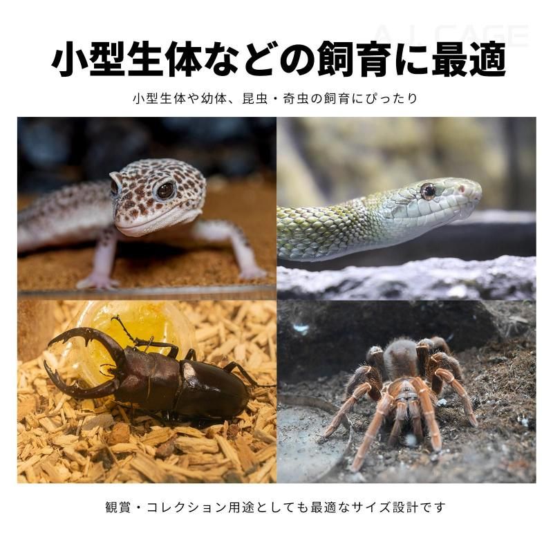 Arion Black Level 高級 アリオン 爬虫類飼育　ケージ　鍵付き ブラックレベルコンテンツ Black Level-Contents アリオン 販売 通販